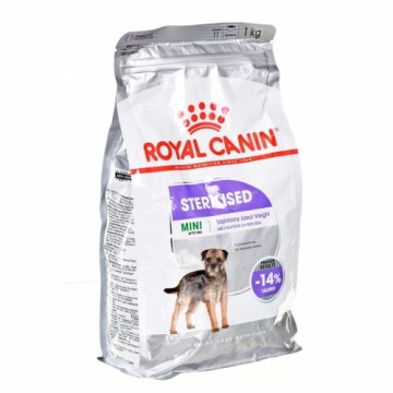 Lopbarība Royal Canin Mini Sterilised Pieaugušais 1 kg