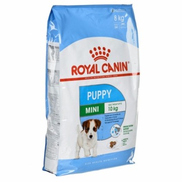 Lopbarība Royal Canin Mini Puppy Bērns/Juniors Cālis Putni 8 kg