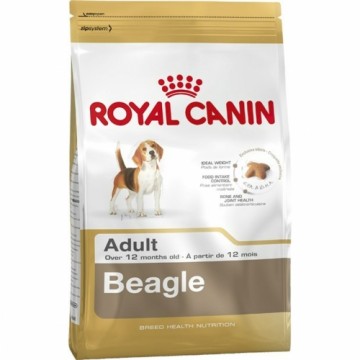 Lopbarība Royal Canin Beagle Adult Pieaugušais Gaļa Kukurūza Putni 12 kg