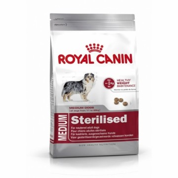 Lopbarība Royal Canin Medium Sterilised Pieaugušais Kukurūza Putni 3 Kg 3,5 g