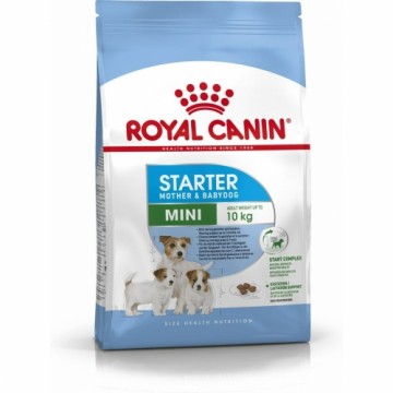 Lopbarība Royal Canin Starter Mother And Babydog Pieaugušais Putni 1 kg