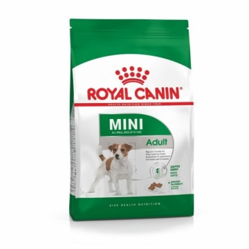 Lopbarība Royal Canin Mini Adult Pieaugušais 800 g