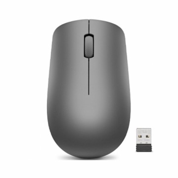 Мышь Lenovo 530 Серый Графитовый