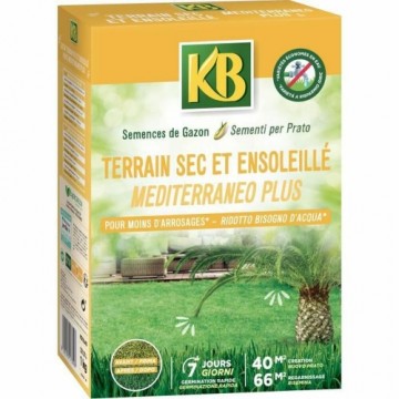 Семена KB лужайка Средиземноморье 1 kg 40 m²