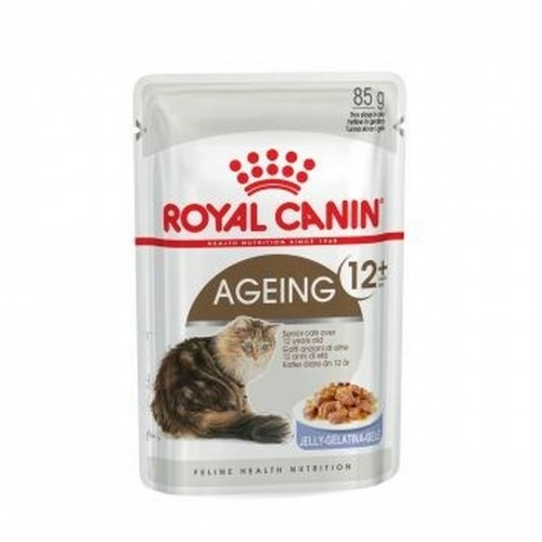 Корм для котов Royal Canin FHN Ageing 12+ Мясо image 1