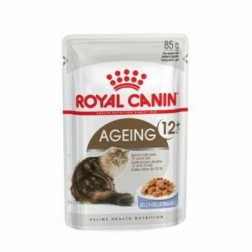 Kaķu barība Royal Canin FHN Ageing 12+ Gaļa