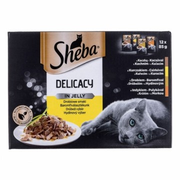 Kaķu barība Sheba Delicacy in Jelly Cālis Turcija Pīle Putni