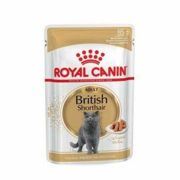 Kaķu barība Royal Canin British Shorthair Adult