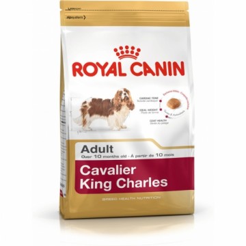 Lopbarība Royal Canin Cavalier King Charles Pieaugušais 1,5 Kg