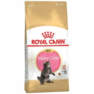 Kaķu barība Royal Canin Maine Coon Kitten Putni 2 Kg