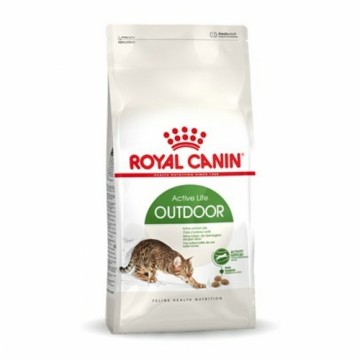 Kaķu barība Royal Canin Outdoor Cālis Pieaugušais 2 Kg