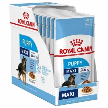 Mitrs ēdien Royal Canin Maxi Puppy 10 x 140 g