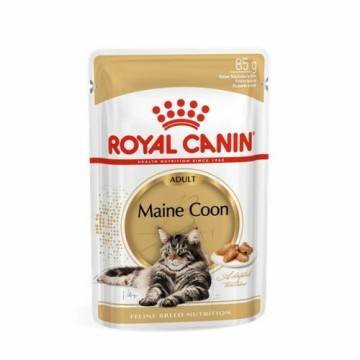Kaķu barība Royal Canin RC POS musthave Gaļa