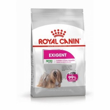 Lopbarība Royal Canin Mini Exigent Pieaugušais Putni 3 Kg