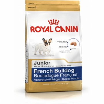 Lopbarība Royal Canin French Bulldog Junior Bērns/Juniors 3 Kg