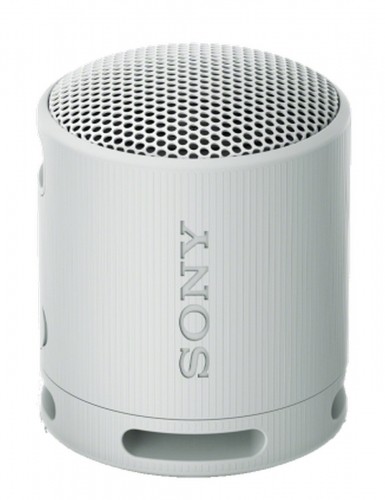 Sony SRS-XB100H image 1