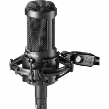 Audio Technica AT2050, Mikrofon