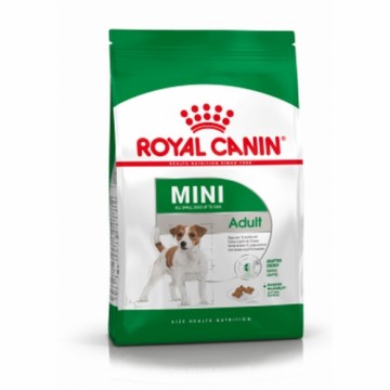 Lopbarība Royal Canin Mini Adult Pieaugušais Cālis 2 Kg