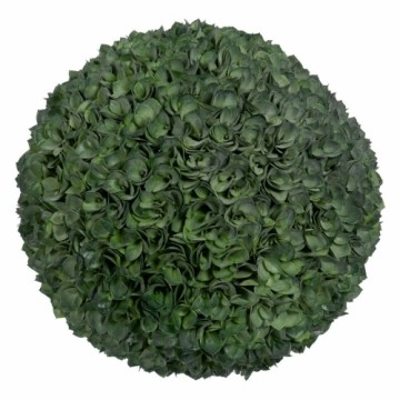 Bigbuy Home Dekoratīvs Augs Zaļš PVC 37 x 37 cm