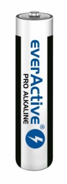 Alkaline batteries everActive Pro Alkaline LR03 AAA - shrink pack - 10 pieces