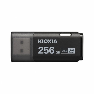 USВ-флешь память Kioxia U301  Чёрный 256 GB