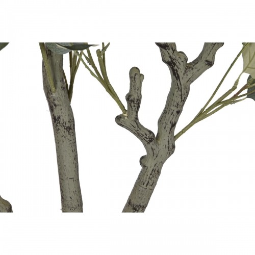 Дерево Home ESPRIT полиэтилен Цемент Эвкалипт 80 x 80 x 220 cm image 3