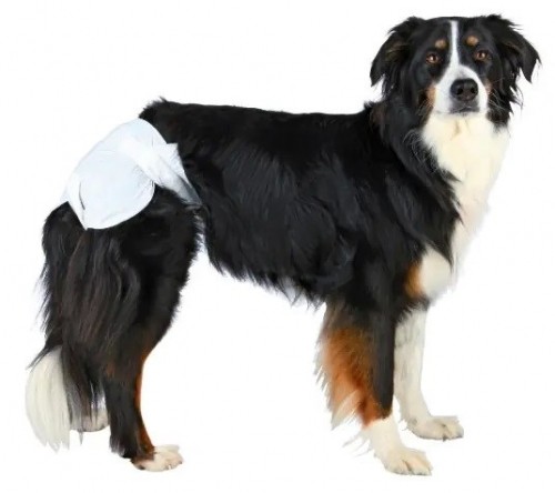TRIXIE - Nappies for Dogs - S-M image 2