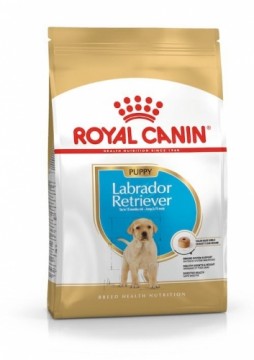 ROYAL CANIN SHN Breed Labrador Junior dry dog food - 12 kg