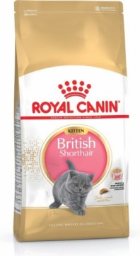 Royal Canin British Shorthair Kitten cats dry food 2 kg Poultry, Rice, Vegetable