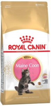 ROYAL CANIN Maine Coon Kitten - dry cat food - 2 kg