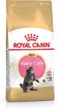 Royal Canin Maine Coon Kitten cats dry food Poultry,Rice 4 kg