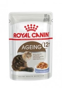 ROYAL CANIN FHN Ageing 12+ in jelly - wet food for senior cats - 12x85g