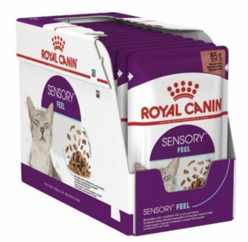 ROYAL CANIN Sensory Feel Wet cat food Chunks in sauce 12x85 g