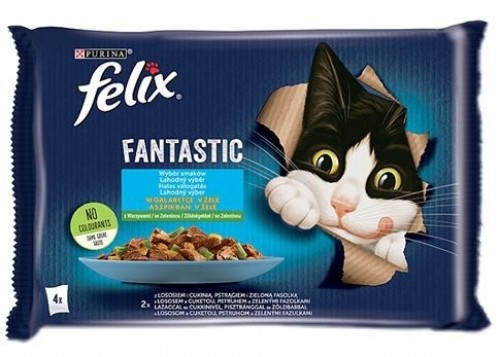 Purina Nestle Felix Fantastic country flavors in jelly, salmon, trout with vegetables -(4x 85 g) image 1
