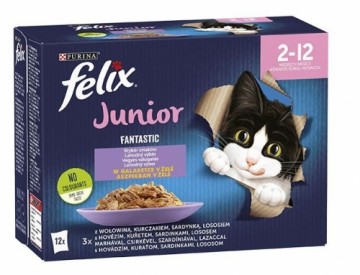 Purina Nestle Felix Fantastic jelly food for kittens in jelly beef, chicken, salmon, sardine - 12x 85 g