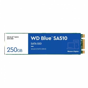 WD Western Digital Blue SA510 M.2 250 GB Serial ATA III