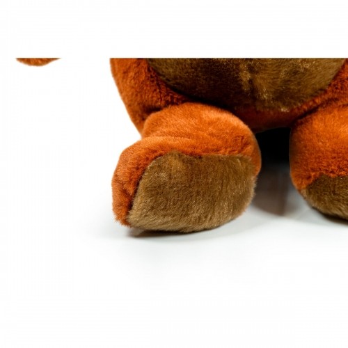 Suņu rotaļlieta Gloria Nitzan polipropilēns image 4