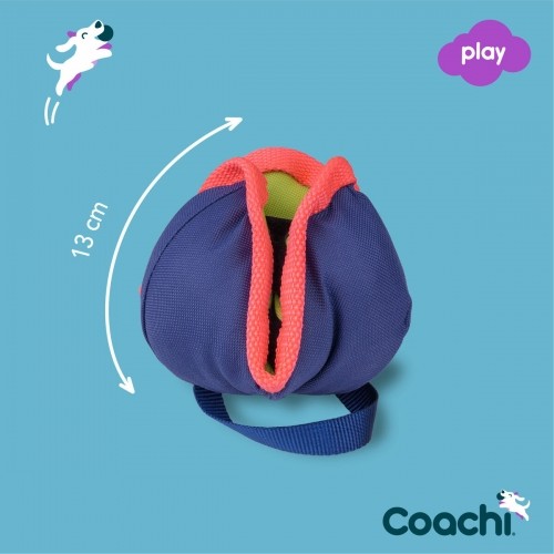 Training toy Coachi CHASE & TREAT Zils image 3