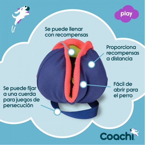 Training toy Coachi CHASE & TREAT Zils image 4