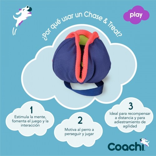 Training toy Coachi CHASE & TREAT Zils image 5