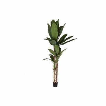 Декоративное растение Home ESPRIT полиэтилен Цемент Банан 90 x 90 x 290 cm