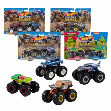 Mattel Hot Wheels Monster Trucks: Vehicles 2-Pack random - FYJ64