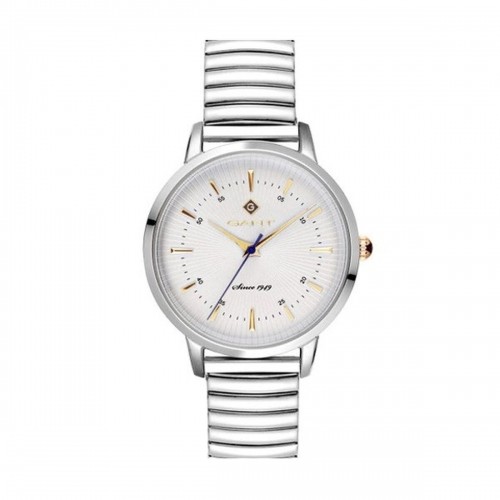 Мужские часы Gant G167001 Серебристый image 1