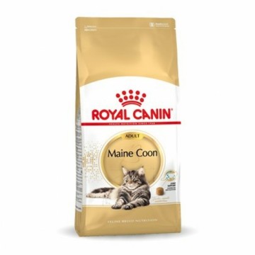 Kaķu barība Royal Canin Maine Coon Adult + 1 gads Pieaugušais Putni 10 kg