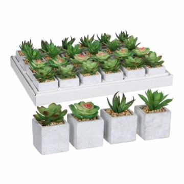 Декоративное растение Mica Decorations 8 x 5 cm Зеленый PVC сочный