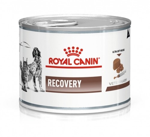 ROYAL CANIN Recovery Wet dog and cat food Mousse Poultry, Pork 195 g image 1