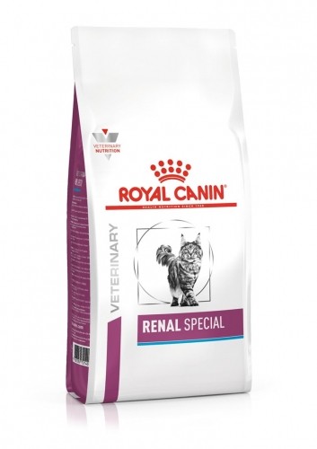 ROYAL CANIN Renal Special Dry cat food Pork 400 g image 1