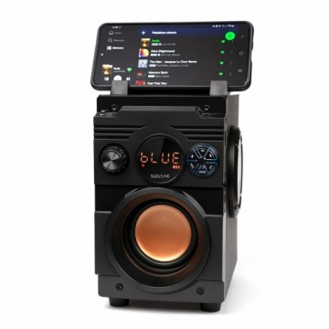Портативный Bluetooth-динамик SQUEAK SQ1001 Чёрный 20 W