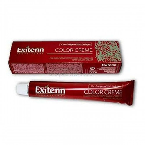 Noturīga Krāsa Color Creme Exitenn Nº 8 (60 ml) image 3