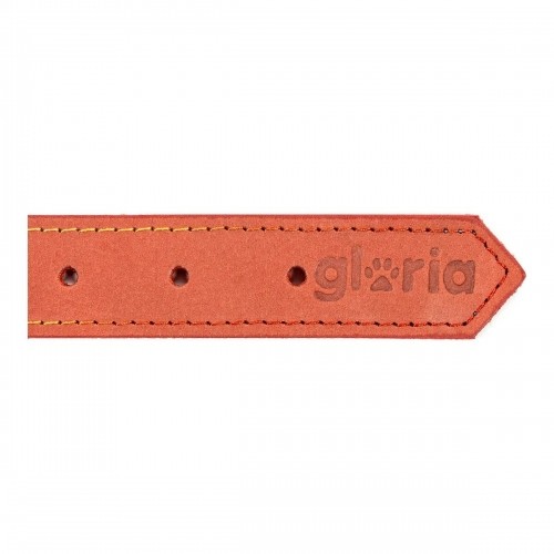 Suņa kaklasiksna Gloria Oasis Sarkans (50 x 2,1 cm) image 2